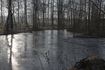 Between winter and spring