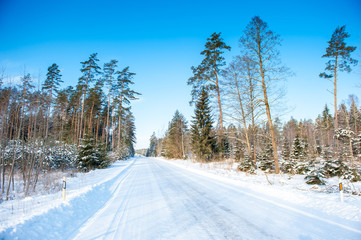Obraz premium Frozen trees and snowy land road at winter, deep blue sky.