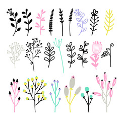 Set of different twigs and bouquets
