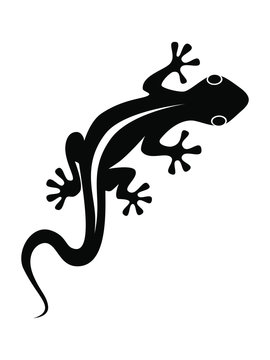 Lizard graphic icon. Lizard black sign isolated on white background. Vector illustration
