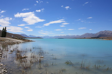 Lake Tekapo January 2019