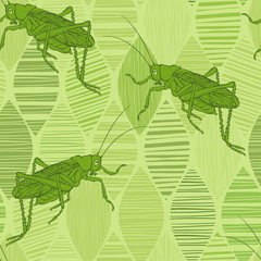 Grasshoppers on green leaves. Seamless vector pattern. Hand-drawn art nature background.
