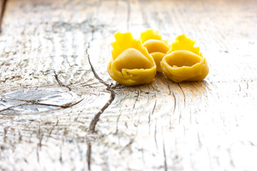 Tortellini in Bologna Italy