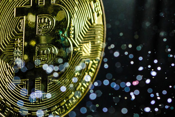 Golden bitcoin cryptocurrency on computer circuit board