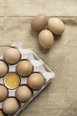 Eggs in the egg panel on cloth background.