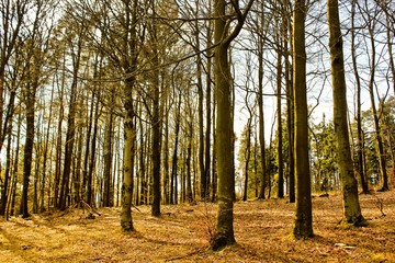Hiking in nature is good for soul mind and body