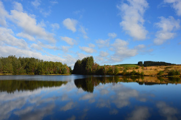Fototapeta premium Lake reflection 