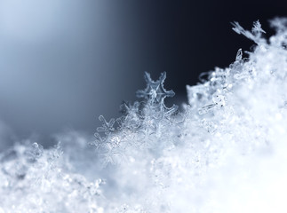 photo real snowflakes during a snowfall, under natural conditions at low temperature