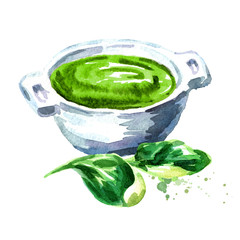 Green cream soup from spinach. Watercolor hand drawn illustration, isolated on white background