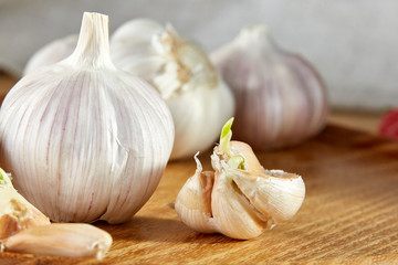 Garlic close up on wooden plate on rustic background, shallow depth of field, selective focus, macro