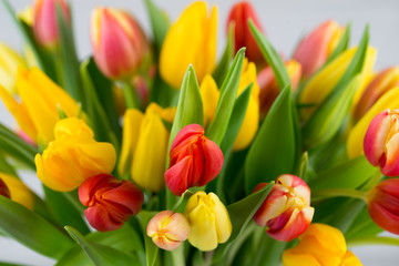 A colorful spring greetings card with tulips for Easter, Mother's Day.