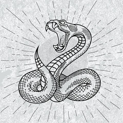 Viper snake in star rays with grunge background. Hand drawn illustration in outline. Occult symbol. 
