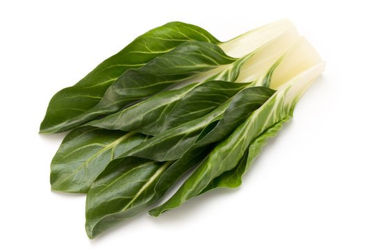Spinach leaves close up isolated on white.