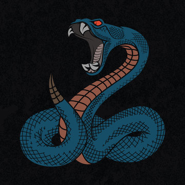 Viper snake. Colorful vector illustration in ink technique on black grunge background, good for poster, sticker, tee shirt design.