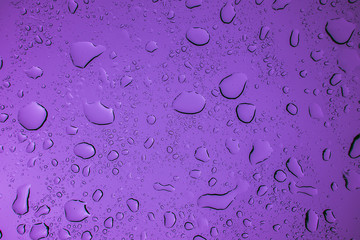 Water droplets on a purple background