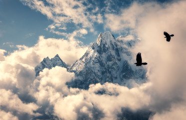 Twee vliegende vogels tegen majestueuze Manaslu-berg met besneeuwde piek in wolken in zonnige heldere dag in Nepal. Landschap met mooie hoge rotsen en blauwe bewolkte hemel. Natuur achtergrond. Feeënscène