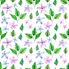 Floral seamless pattern with spring colorful flowers and leaves on white