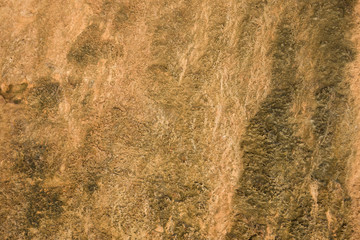 Brown beige wet texture