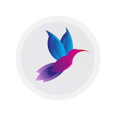 Colorful hummingbird sign. Simple Colibri logo. Drawing of animal fly. Vector illustration. Spa and resort emblem. Geometric Bird icon design. Minimalistic pictogram