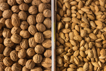 Background of walnuts and almonds . A full source of vegetable protein in vegetarianism and raw food. Concept - healthy eating.