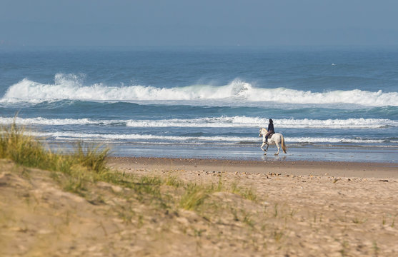 trotando al mar