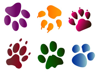 bright pet paw prints on white vector