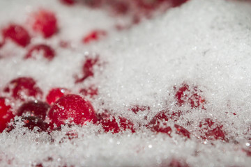 Cold frozen red berry cranberries on the table