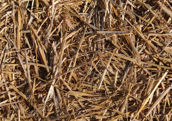 rural background with a lot of straw from a barn of a farm