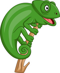 Fototapeta premium Cartoon green chameleon isolated on white background