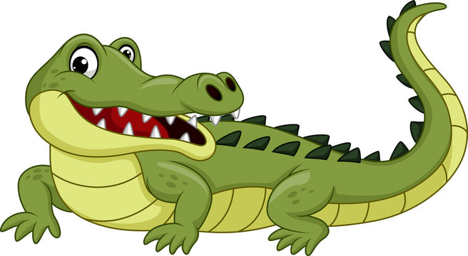 Gator Cartoon Images – Browse 21,675 Stock Photos, Vectors, and Video |  Adobe Stock