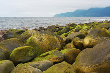 Group of stones near Atlantic ocean coast.