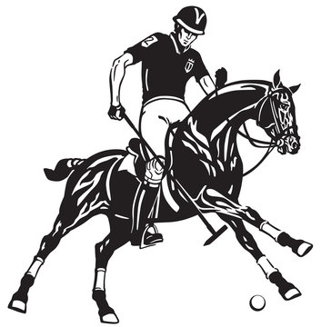  polo player riding a pony horse and holding a mallet stick to hit a ball .The  horse in gallop .Equestrian sport Black and white vector illustration