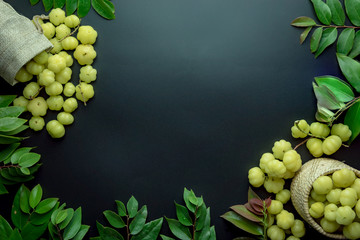 star gooseberry on black background