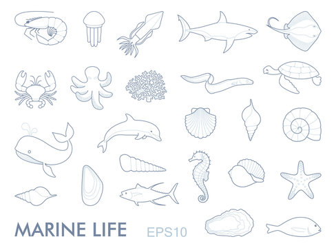Marine life contour icons