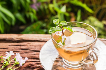 Ginger teacup