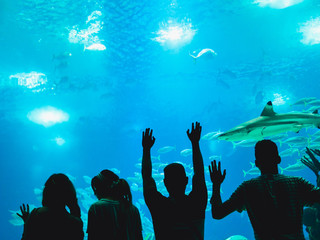 Fototapeta premium People watching fish in a Oceanarium. Lisbon in Portugal