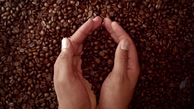 Man Hand Hold Coffee Beans And Then Throw It Down. Top View