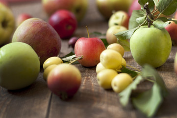 apple different size and sorts