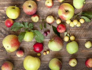 apple different size and sorts