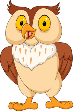 Cartoon funny owl isolated on white background