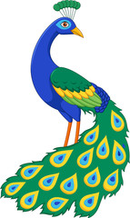 Cartoon funny peacock