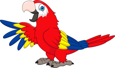 Cartoon funny macaw © tigatelu