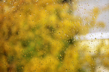 Rain drops on window autumn