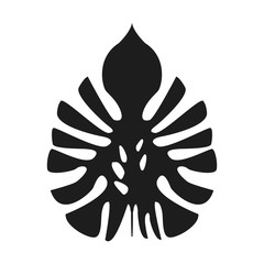 tropical palm monstera leave jungle vector illustration