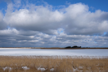 Jezioro Ptasi Raj w rezerwacie na Wyspie Sobieszewskiej, Polska © Iwona
