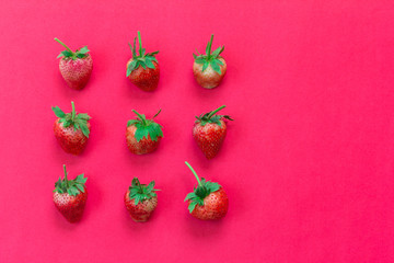 fresh strawberries in top view on red background