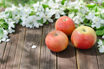 Three ripe apples and flowers of apple. Brown wooden background.
