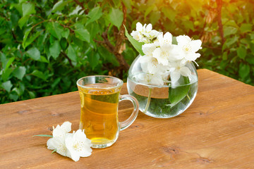 Transparent mug of tea and a vase with jasmine. Greens on the background, sunlight