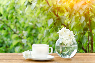 White mug of tea and a vase with jasmine. Greens on the background, sunlight