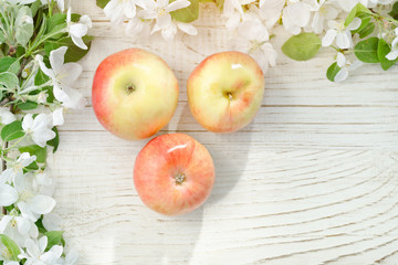 Three ripe apples and flowers of apple. White wooden background.